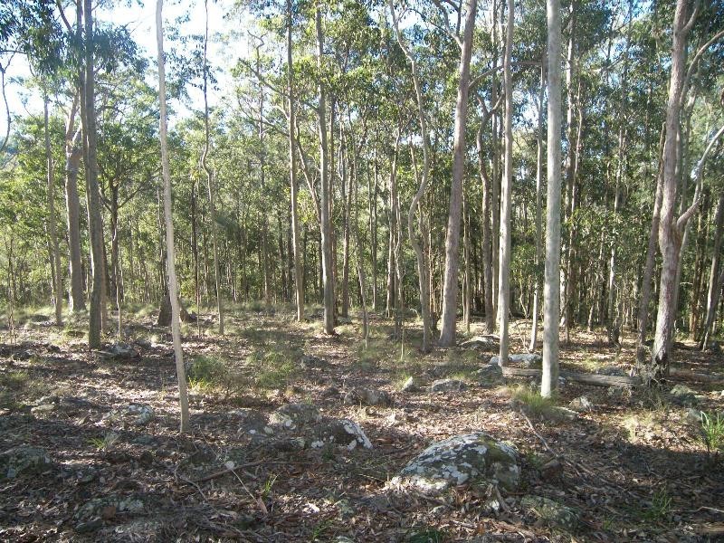Mandalong NSW 2264