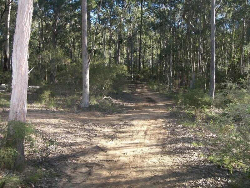 Mandalong NSW 2264
