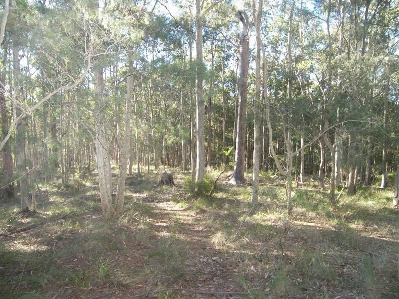 Mandalong NSW 2264