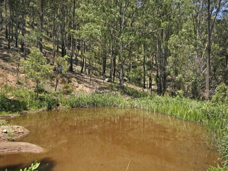 Yarramalong NSW 2259