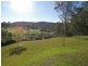 Wyong Creek NSW 2259
