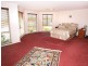 Mardi NSW 2259