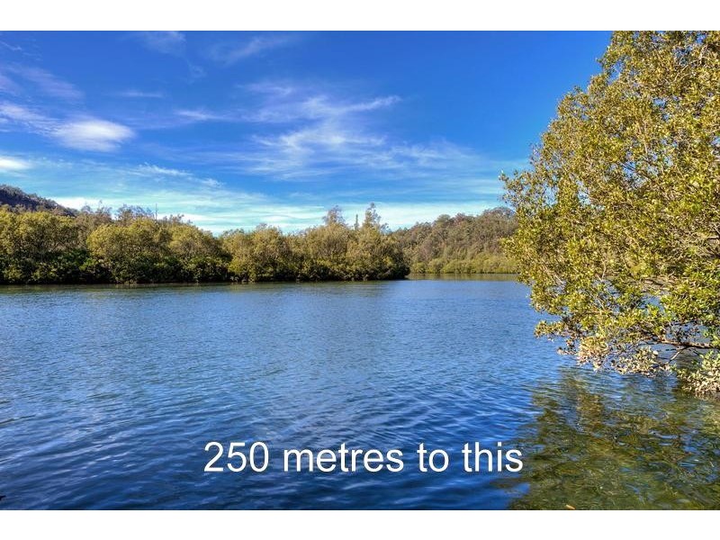 Lower Mangrove NSW 2250