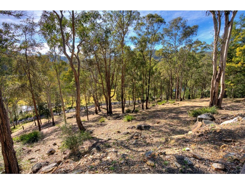 Lower Mangrove NSW 2250