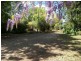 Mangrove Mountain NSW 2250