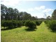 Mangrove Mountain NSW 2250