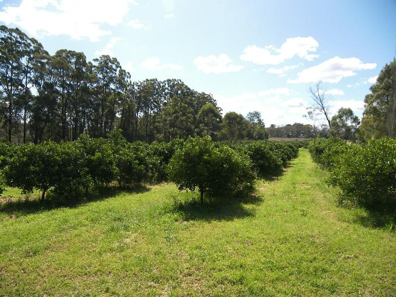 Mangrove Mountain NSW 2250