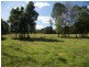 Mangrove Mountain NSW 2250
