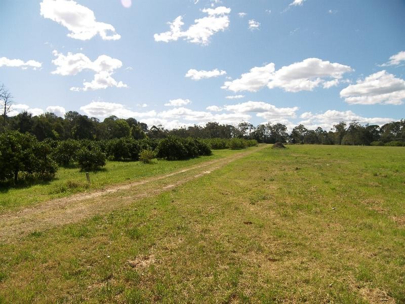Mangrove Mountain NSW 2250