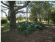 Mangrove Mountain NSW 2250