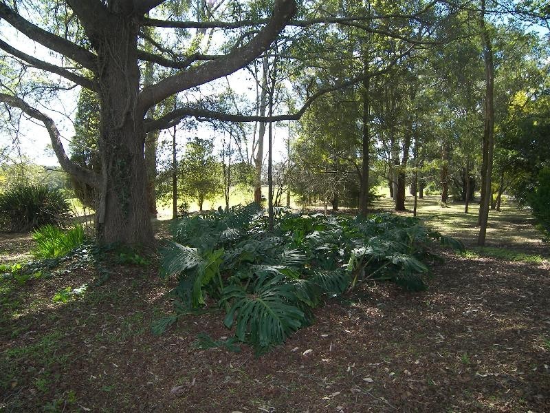 Mangrove Mountain NSW 2250