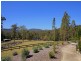 Dooralong NSW 2259