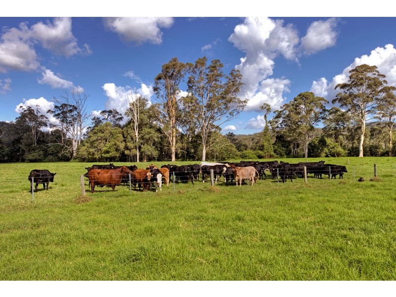 Little Jilliby NSW 2259