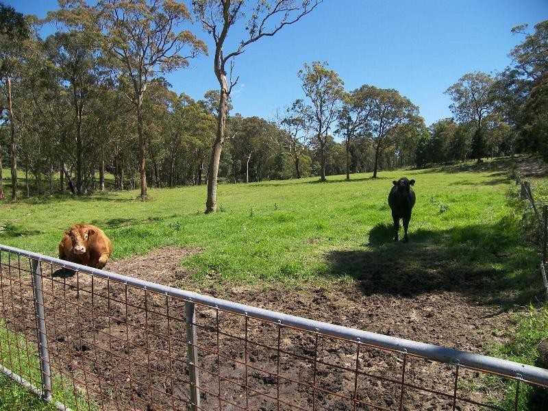 Kulnura NSW 2250