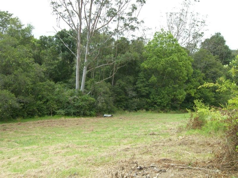 Yarramalong NSW 2259