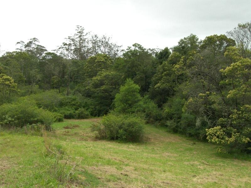 Yarramalong NSW 2259