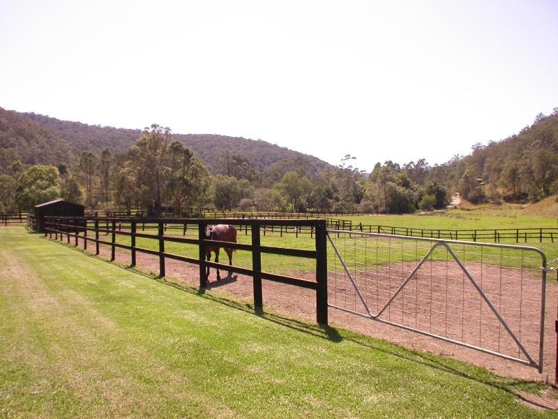 Yarramalong NSW 2259