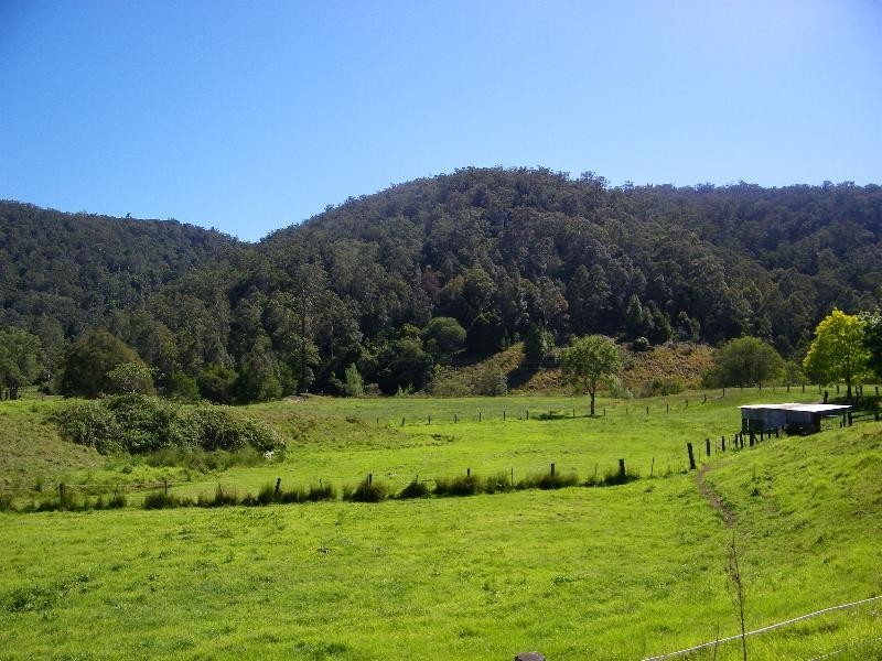 Yarramalong NSW 2259