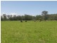 Mardi NSW 2259