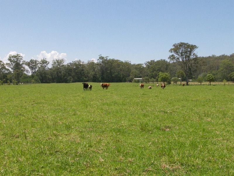 Mardi NSW 2259