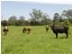 Mardi NSW 2259