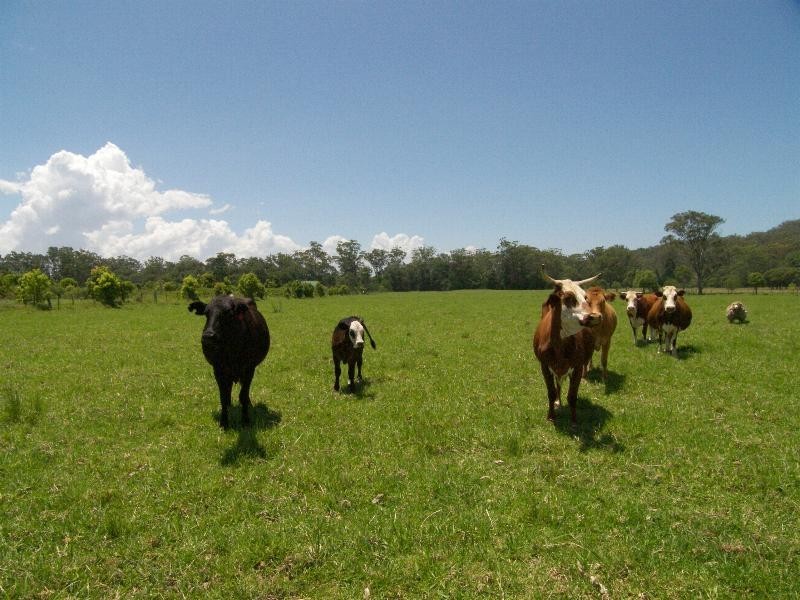 Mardi NSW 2259