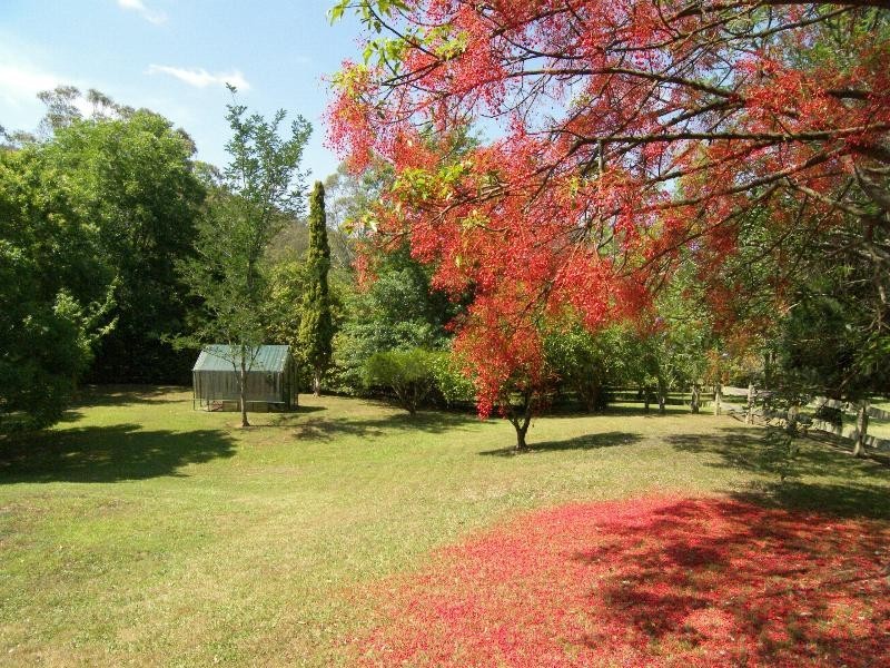 Wyong Creek NSW 2259