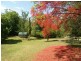 Wyong Creek NSW 2259