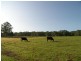 Dooralong NSW 2259