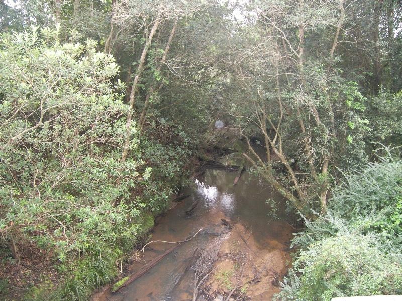 Wyong Creek NSW 2259