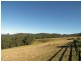 Cedar Brush Creek NSW 2259