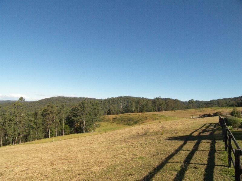 Cedar Brush Creek NSW 2259