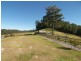 Cedar Brush Creek NSW 2259
