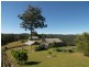 Cedar Brush Creek NSW 2259