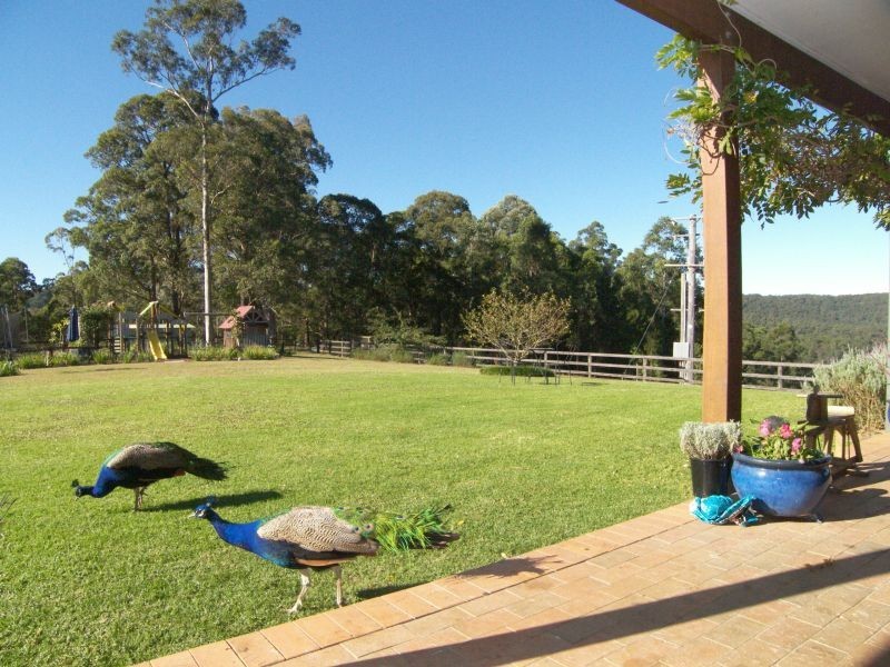 Cedar Brush Creek NSW 2259