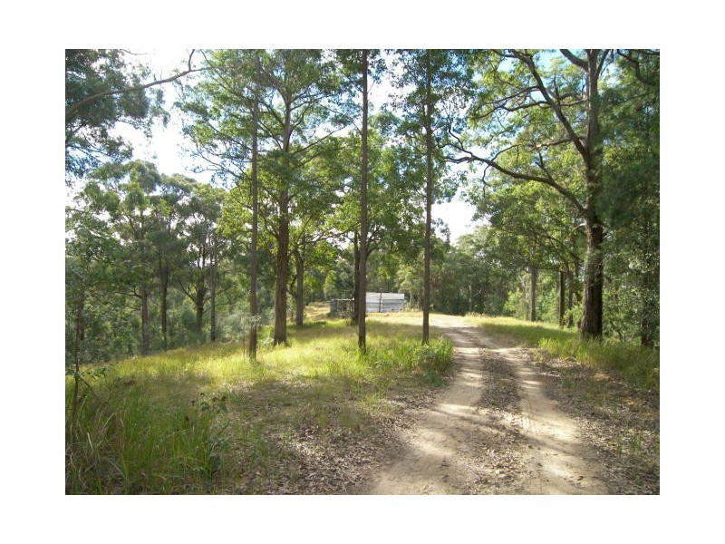 Cedar Brush Creek NSW 2259