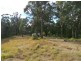 Cedar Brush Creek NSW 2259