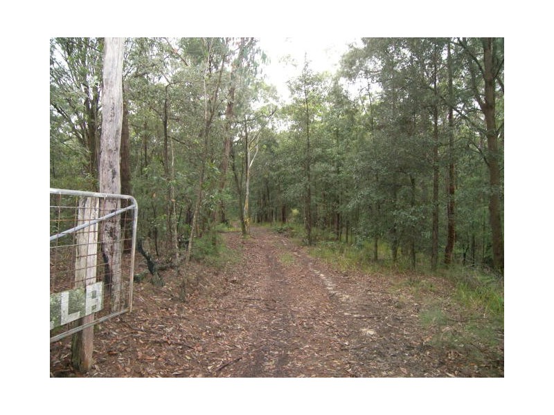 Cedar Brush Creek NSW 2259