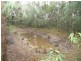 Cedar Brush Creek NSW 2259