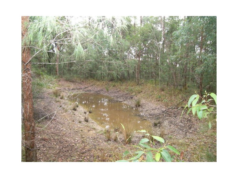 Cedar Brush Creek NSW 2259