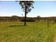 Dooralong NSW 2259