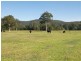 Jilliby NSW 2259