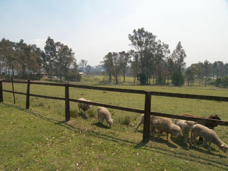 56 Hue Hue Road, Alison NSW 2259