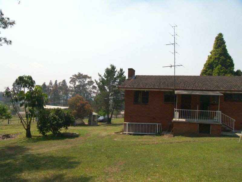 Alison NSW 2259