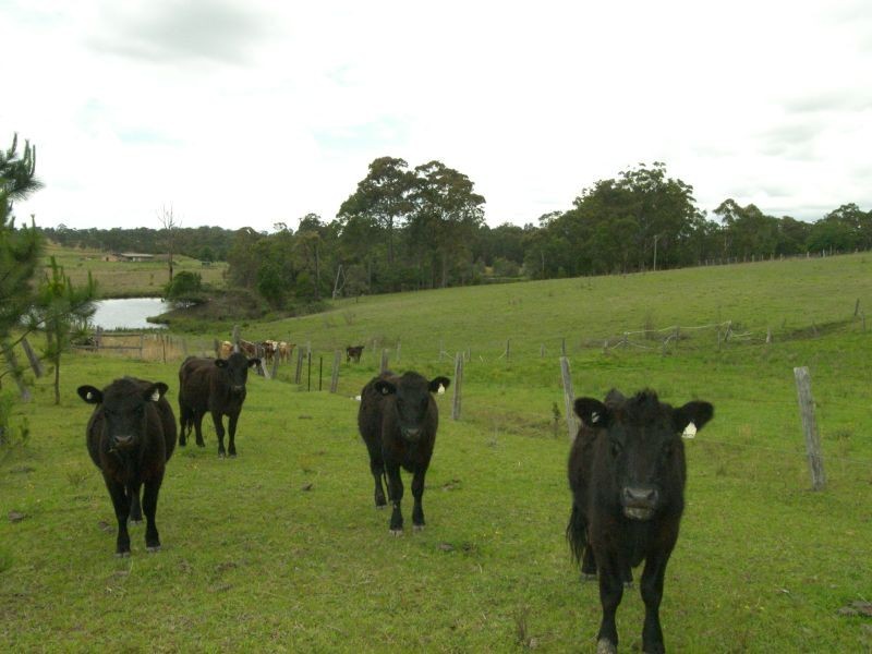Wyee NSW 2259