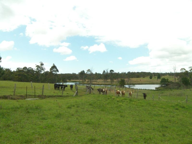 Wyee NSW 2259