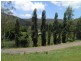 324 Brush Creek Road, Cedar Brush Creek NSW 2259