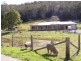 79 Chandlers Lane, Wyong Creek NSW 2259