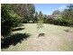 Wyong NSW 2259