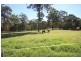 Mandalong NSW 2264